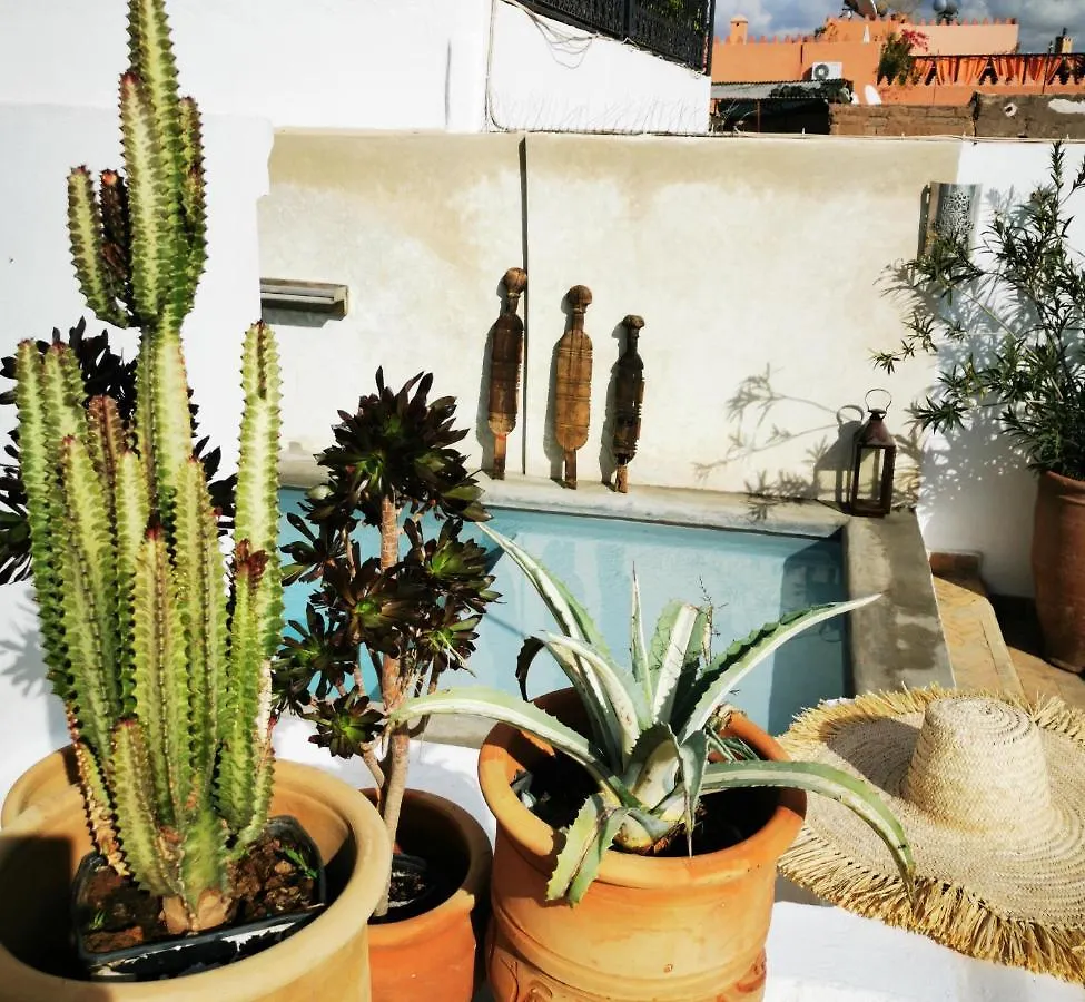 Riad Bab Aylen - Piscine Roof Top Chauffee Marrakesh Morocco