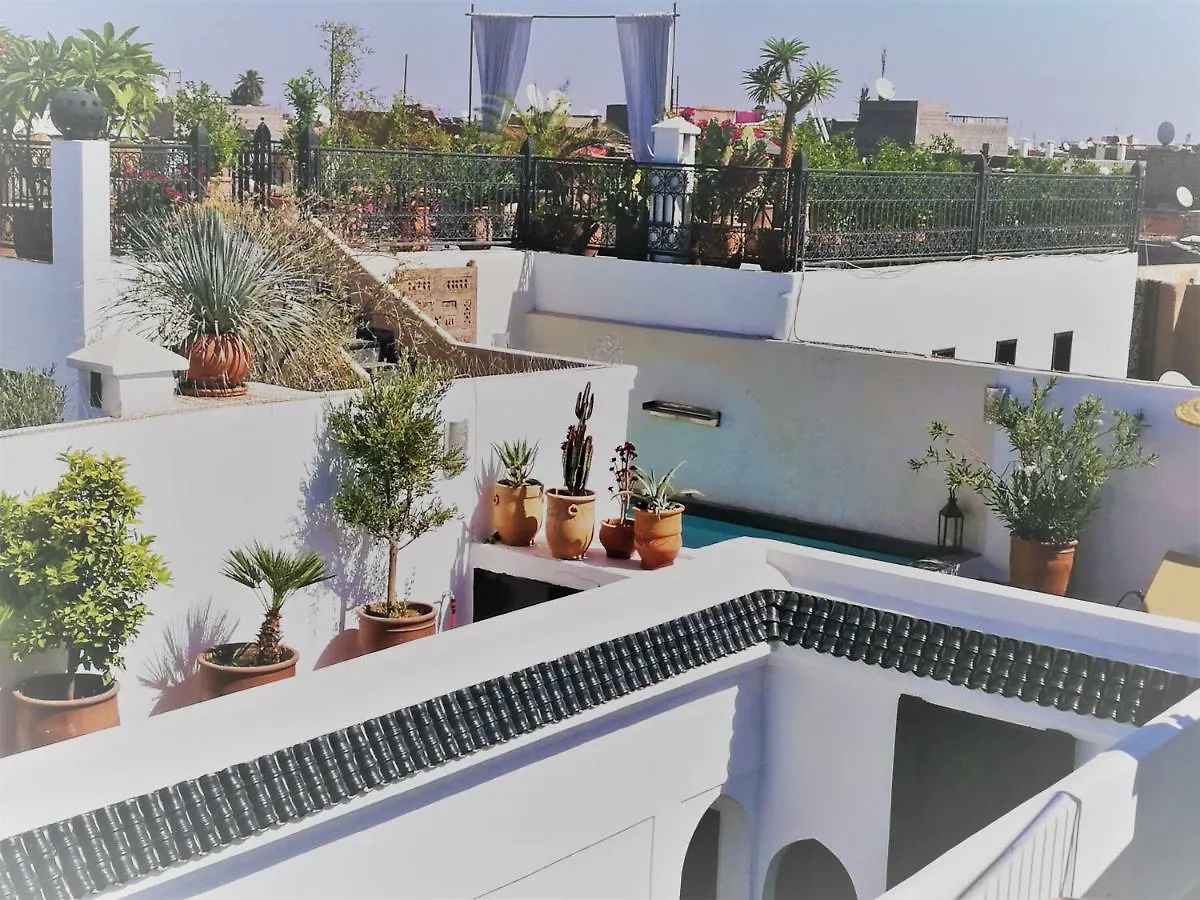 Riad Bab Aylen - Piscine Roof Top Chauffee Marrakesh